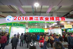 看展覽、嘗美食、囤年貨 2016浙江農(nóng)博會(huì)